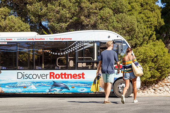 Discover Rottnest Tour